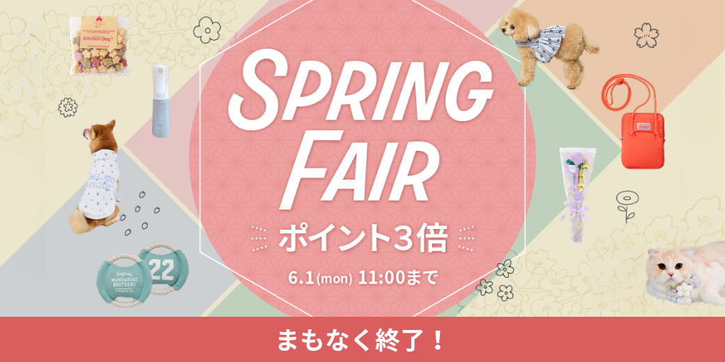 スプリングフェア