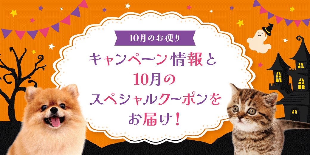 10月のお便り