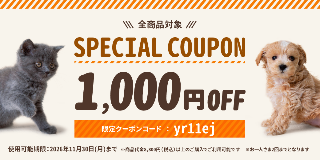11月限定 1,000円OFFクーポン