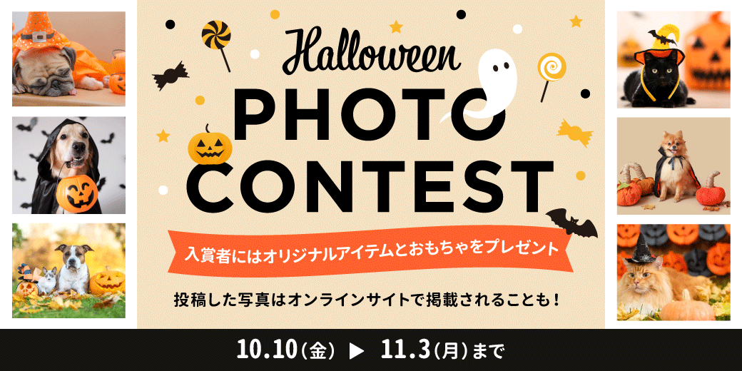 ハロウィンフォトコン