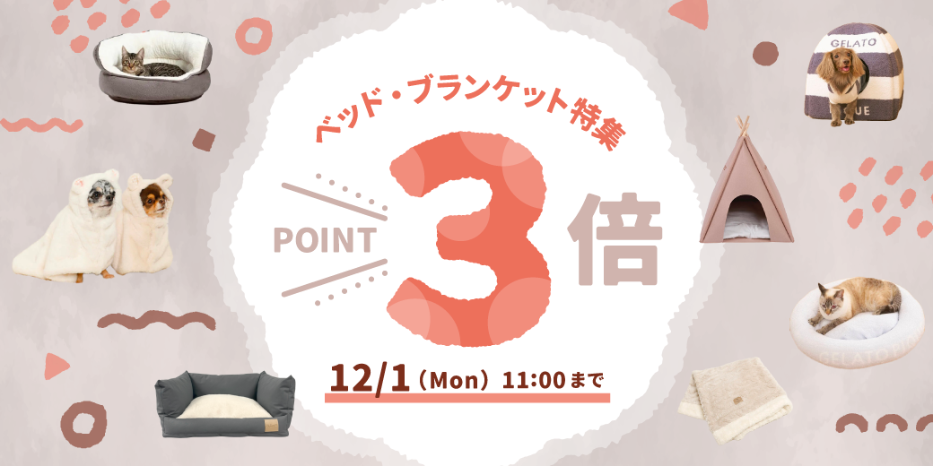 ベッド・ブランケット特集