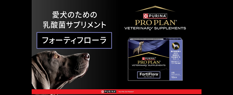 フォーティフローラ犬