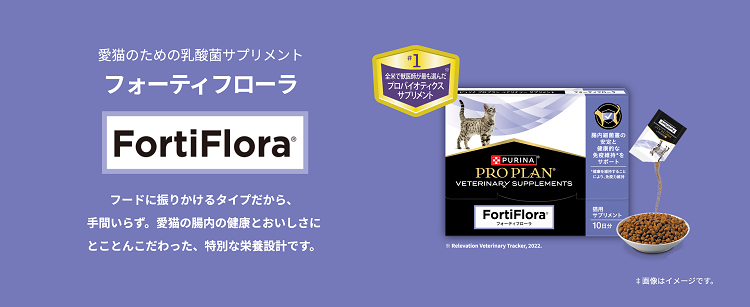 フォーティフローラ猫