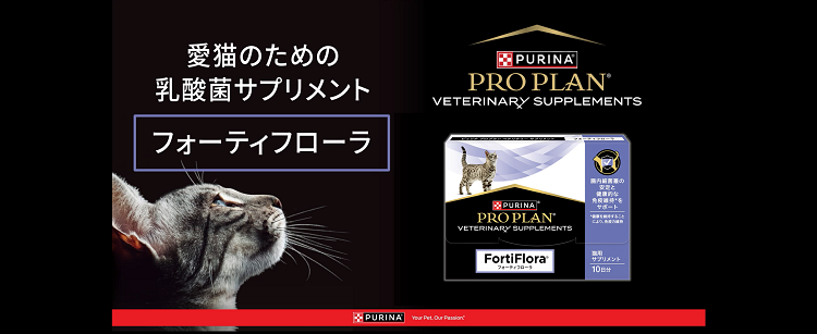 フォーティフローラ猫