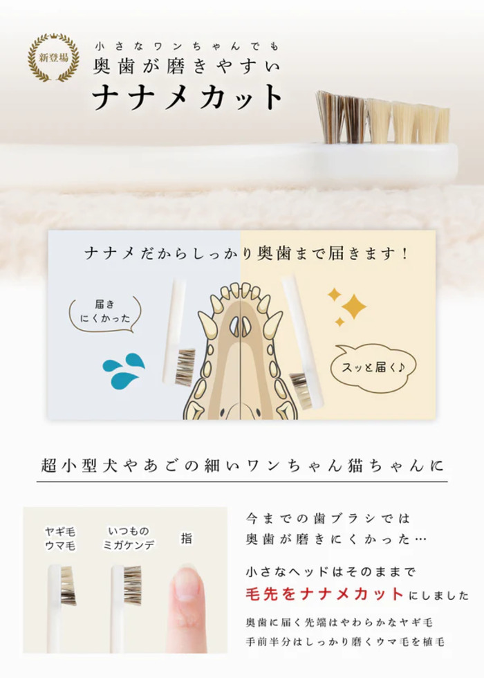 MIGAKENDE】柔らかい天然毛歯ブラシ 斜めカット植毛(ヤギ＆ウマ) Pets