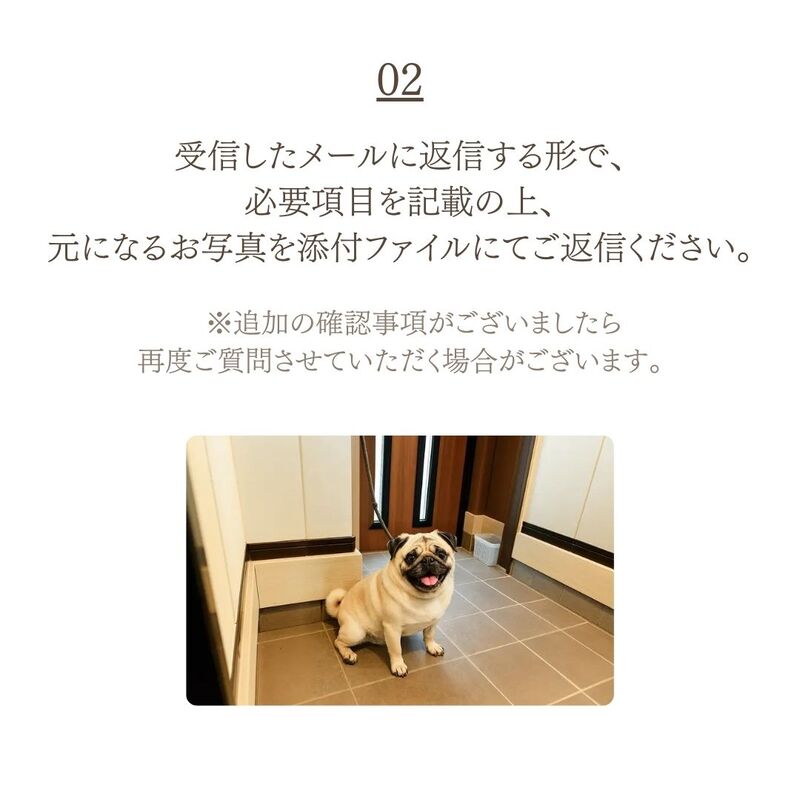 pet is your