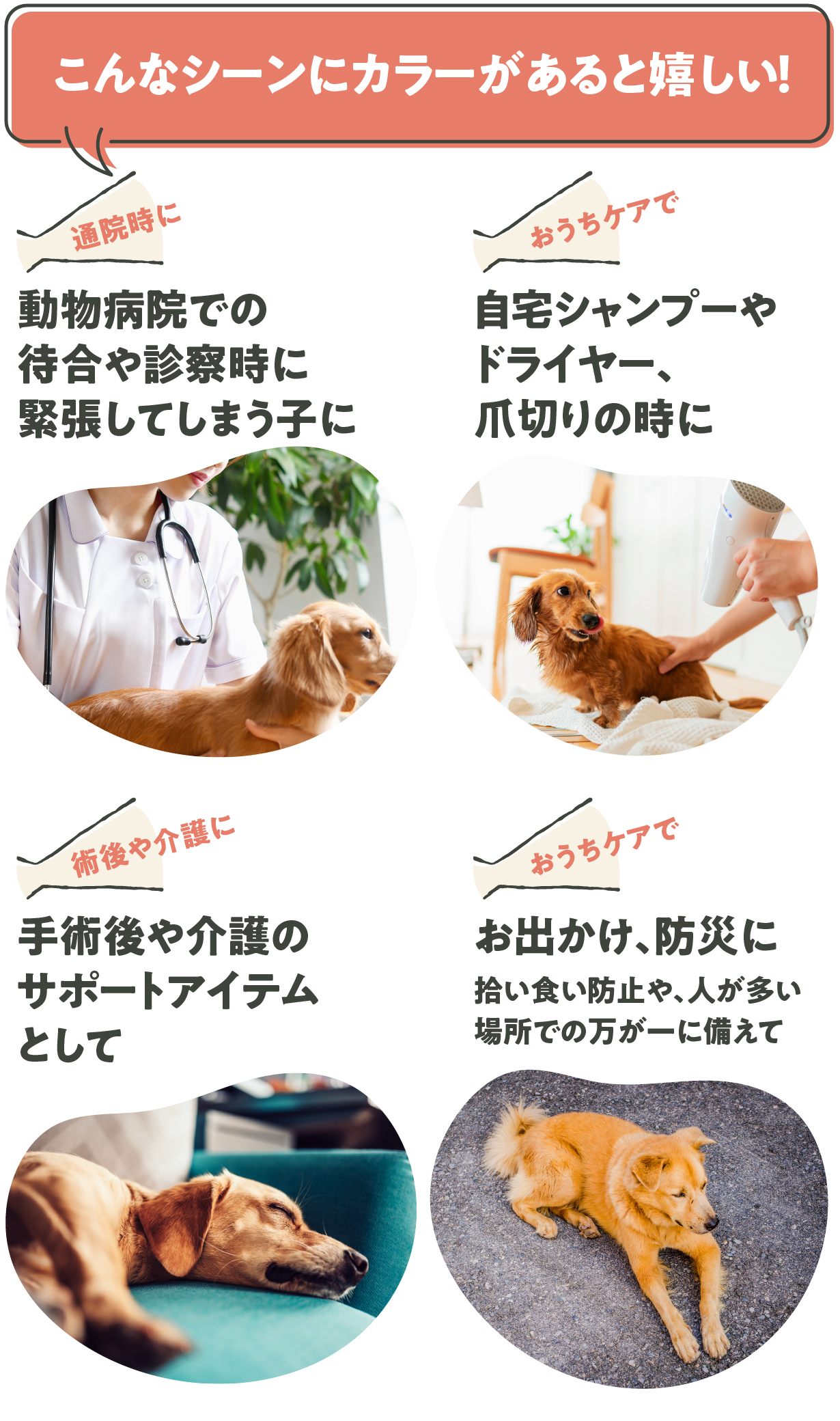 見上げる犬さん専用 楽天市場】見上げるわんこ《 秋田犬 (17cm)》〔 WOOBIA ウービア