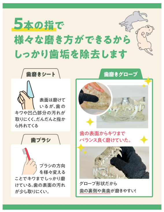 【anifull】アニサポ　歯磨きグローブ 