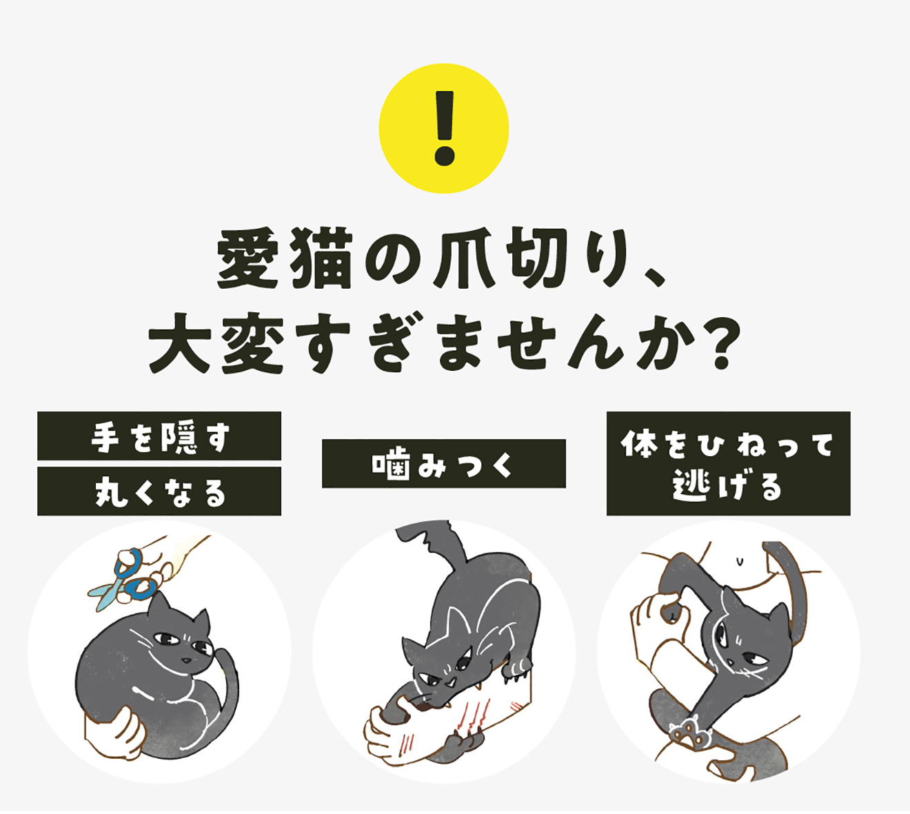 アニサポ にゃんケアチョッキ 黒 アニサポ にゃんケアチョッキ 【2025年4月新発売】 – anifull