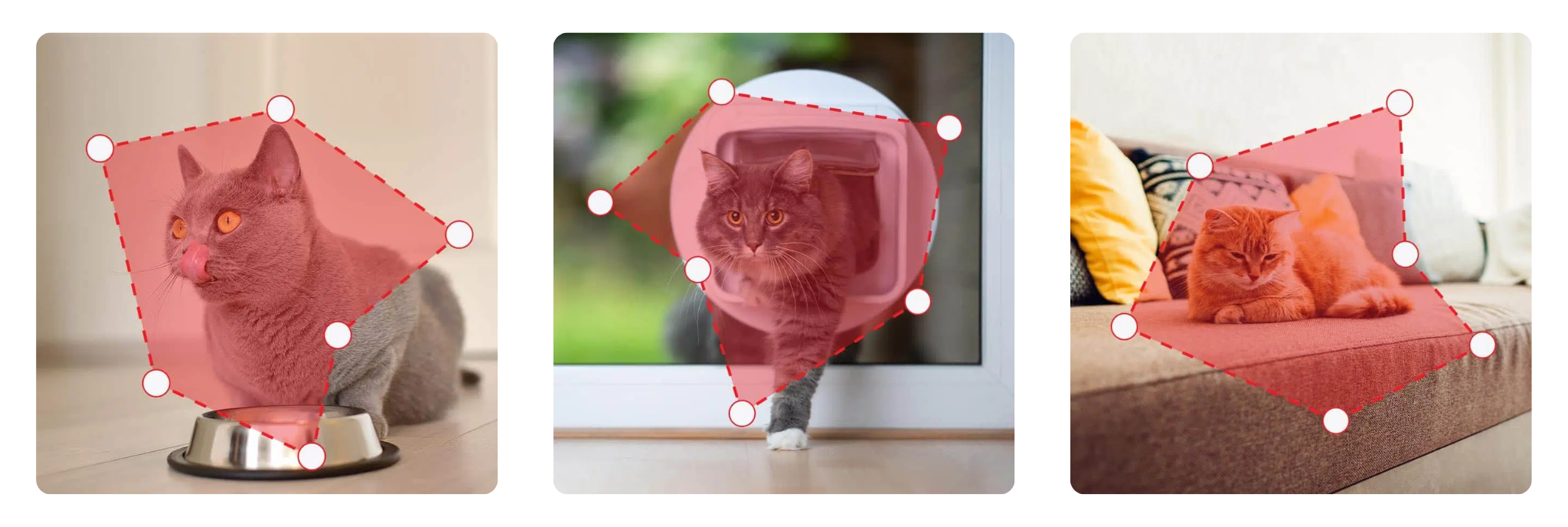 catit Pixi スマートマウスカメラ