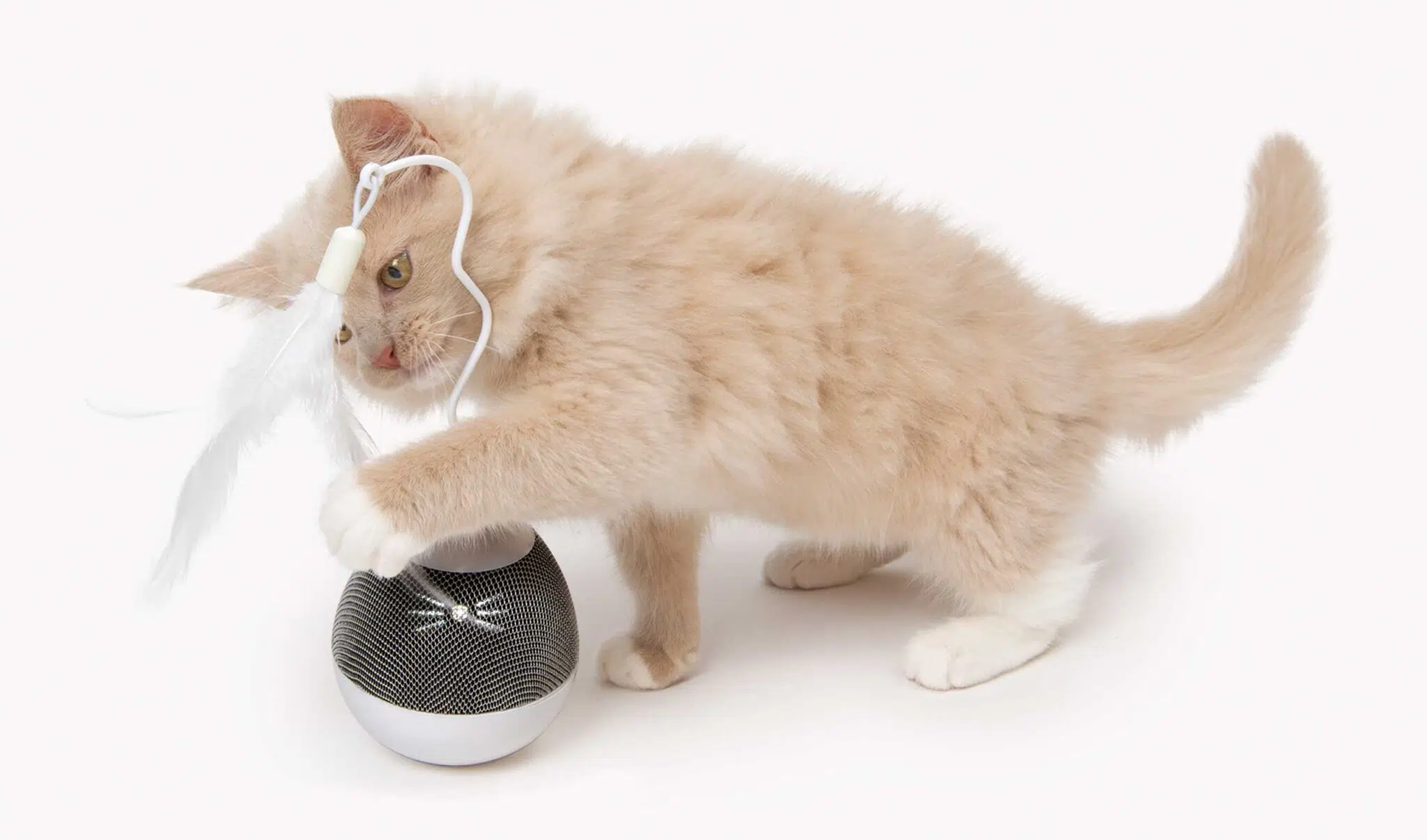 catit Pixi スピナー