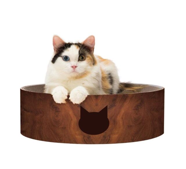 猫壱 バリバリボウル 猫柄 ダークブラウン