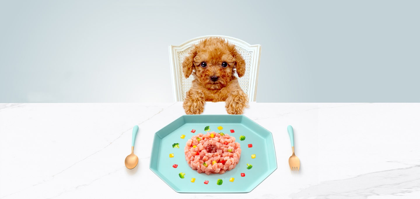 HUMAN GRADE FOOD