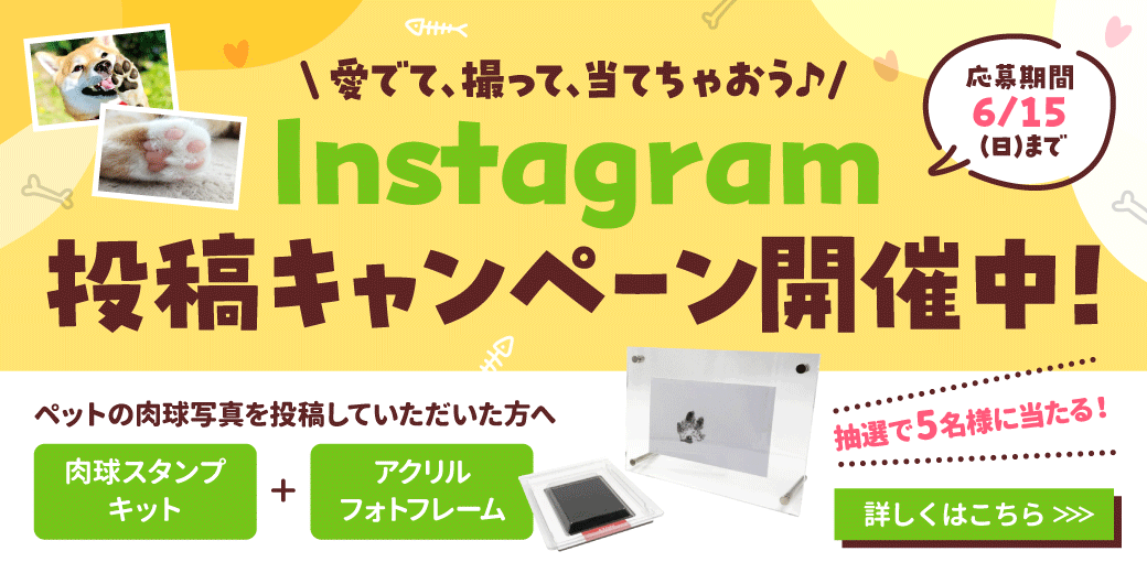 肉球の日Instagram投稿キャンペーン