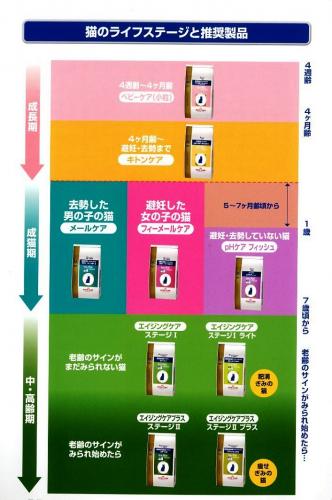 ロイヤルカナン ベッツプラン メールケア 猫用 去勢後 7歳までの雄猫用 4kg ペットの理想をカタチに 高品質 自然派 動物病院推奨のペット用品ショップ ｇｒｅｅｄｙ